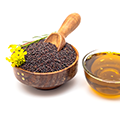 Oil Seed